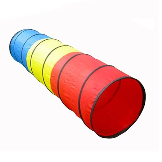 DS Kids Tunnel - Multi-color Play