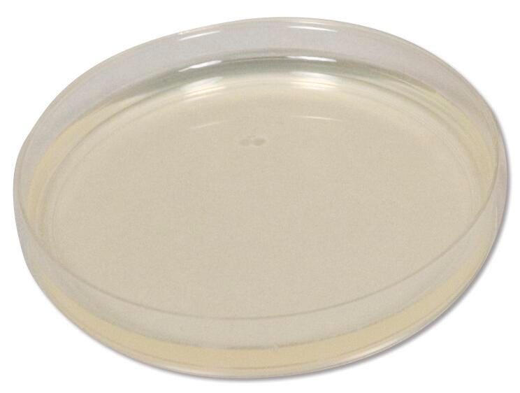 TRYPTIC SOY AGAR PLATES 100/CS
