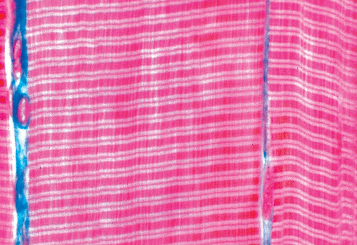 SLIDE ALL ABOUT ME SET/6