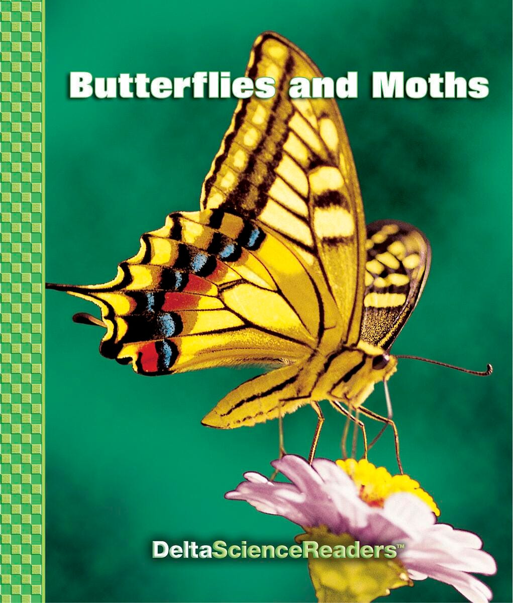 READER DSM-3 BUTTERFLIES AND MOTHS PKG/8