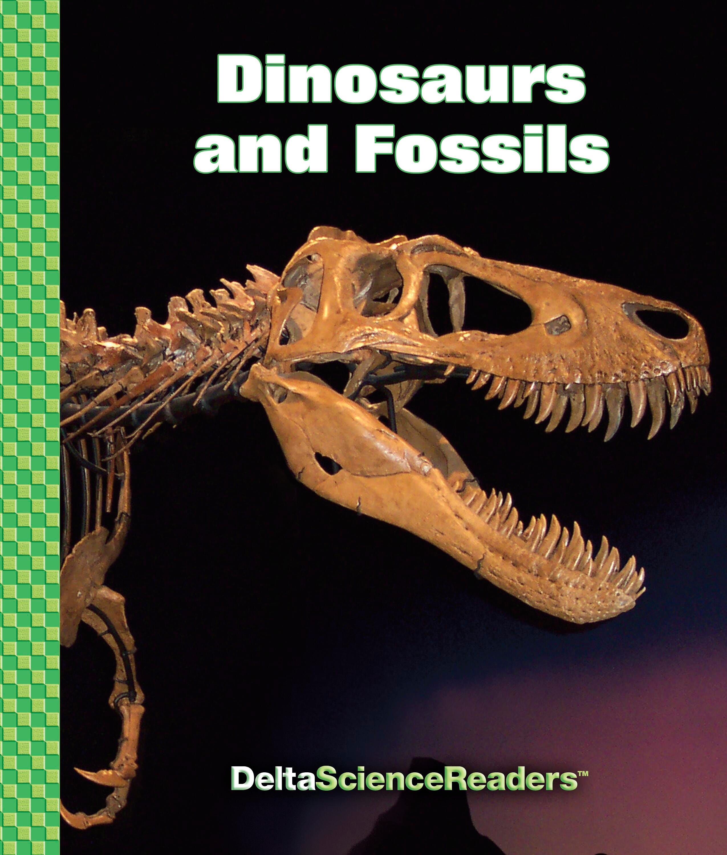READER DSM-3 DINOS AND FOSSILS PKG/8