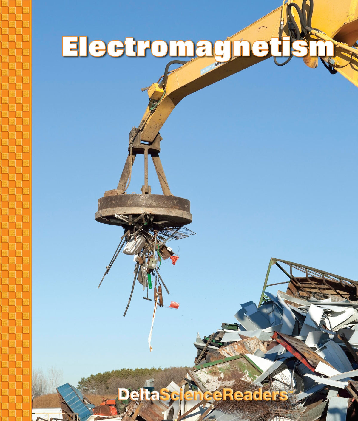 READER DSM-3 ELECTROMAGNETISM PKG/8