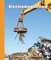 READER DSM-3 ELECTROMAGNETISM PKG/8