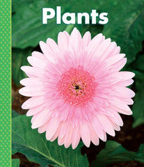 DSFR READER PLANTS PKG/8