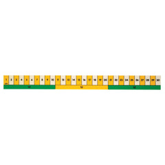 Ruler Early Learning Helix Plastic