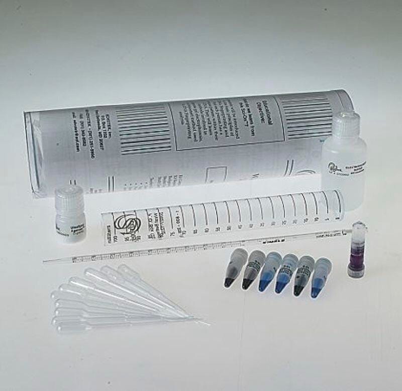 KIT WHOSE DNA WAS LEFT BEHIND