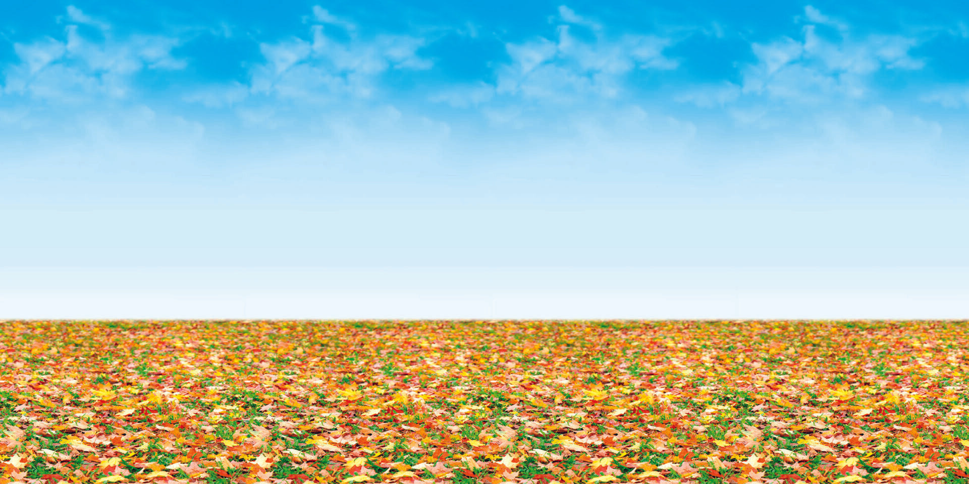 PAC FADELESS DISPLAY PAPER ROLL 1218MMX15M AUTUMN LANDSCAPED 1PC -Min Qty 4