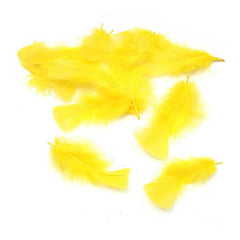 SCO FEATHERS YELLOW 25G -Min Qty 12