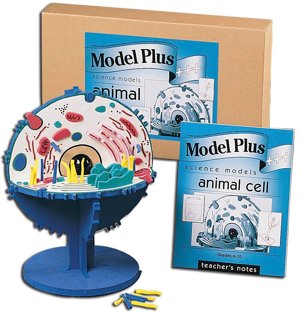 ANIMAL CELL MODEL PLUS EA