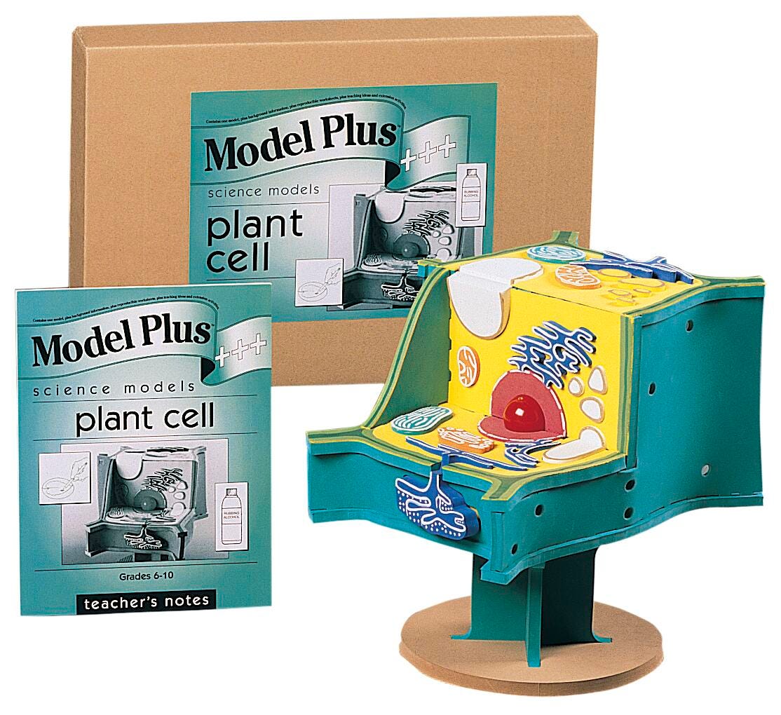 PLANT CELL MODEL PLUS EA