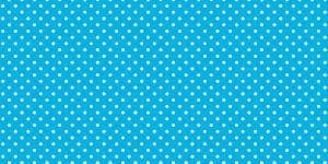PAC FADELESS DISPLAY PAPER ROLL 1218MMX15M DOTS BLUE/WHITE 1PC -Min Qty 4