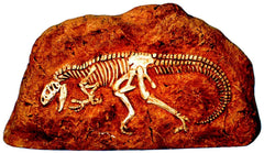 ALLOSAURUS IN ROCK 0730