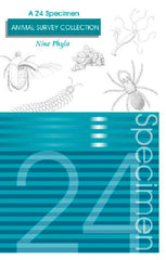 ANIMAL SURVEY SET WET SET/24