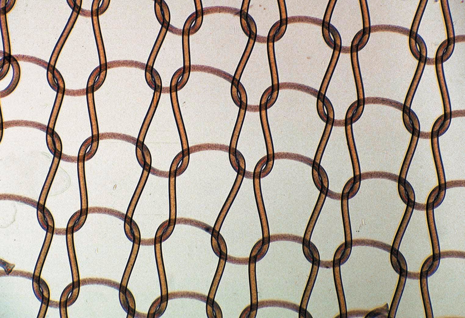 SLIDES MICROSCOPE FIBERS+FABRIC BASIC S/12