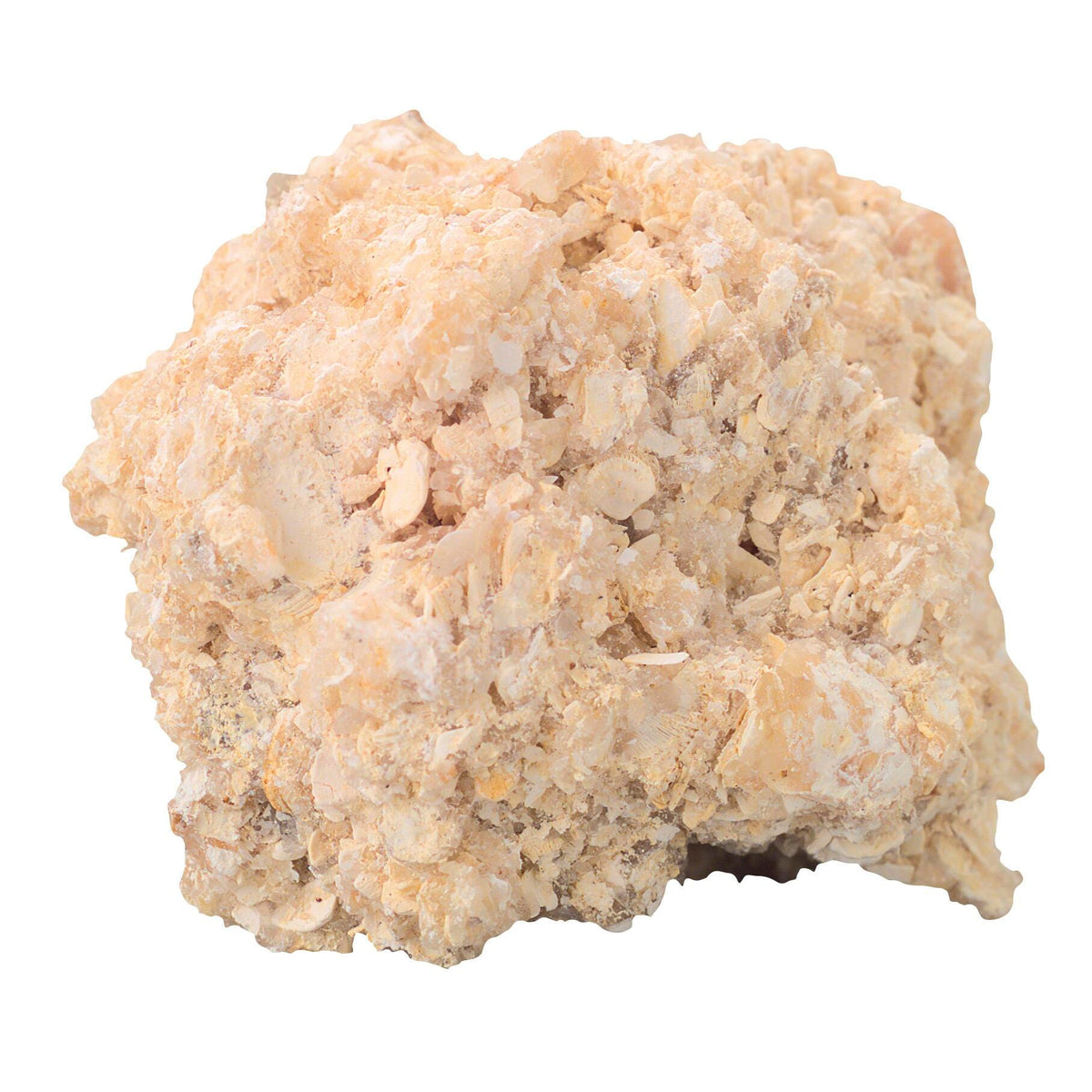 ROCK LIMESTONE COQUINA 10/PK