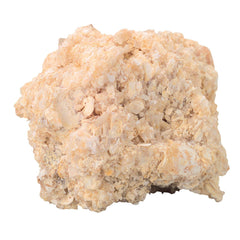 ROCK LIMESTONE COQUINA 10/PK