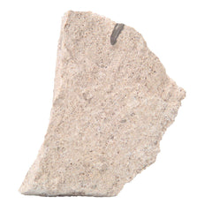 ROCK LIMESTONE OOLITIC LS