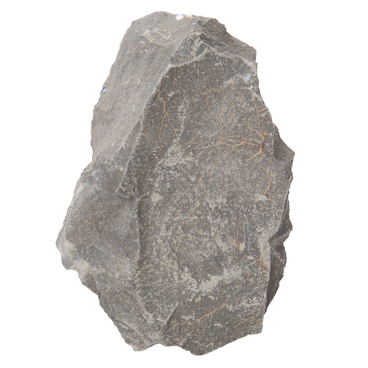 ROCK SHALE GRAY ARGILLACEOUS 10/PK