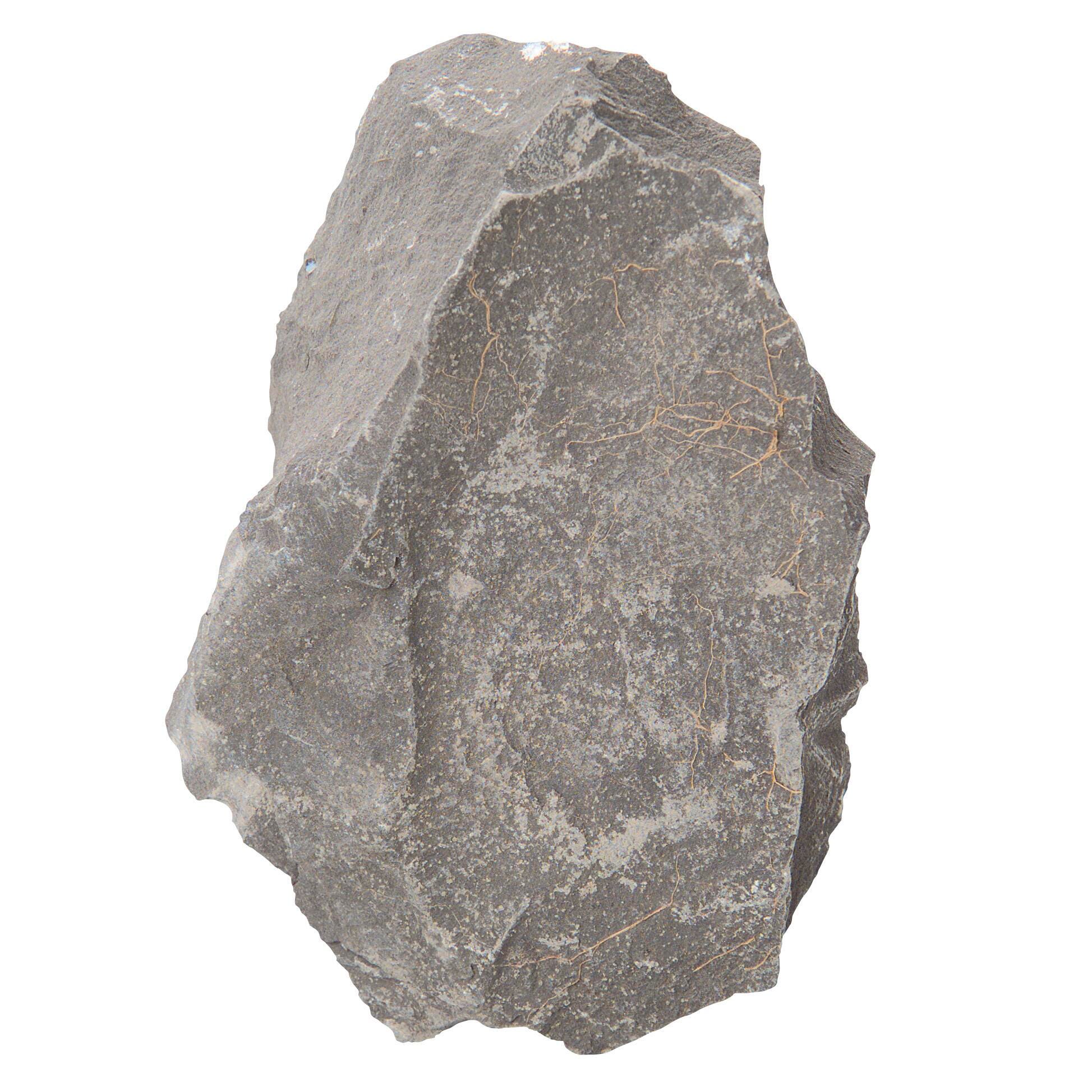 ROCK SHALE GRAY ARGILLACEOUS LS