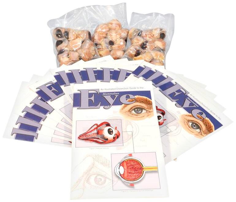 DISC-MAMMALIAN EYE ECONOMY CLASSPACK PK/30