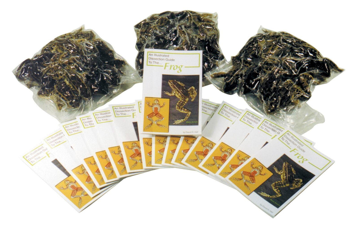 FROG ECONOMY CLASSPACK PK/30