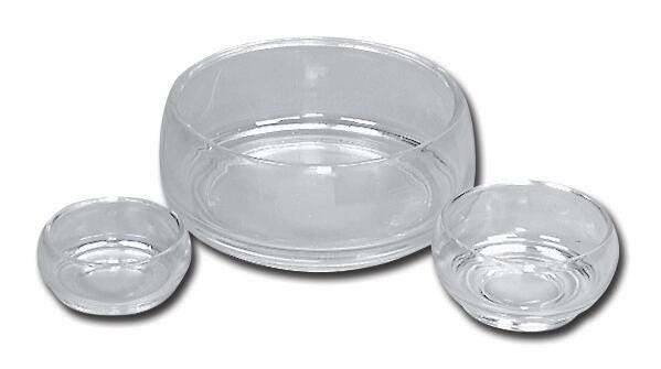 DISC-DISH SPECIMEN GLASS 8IN