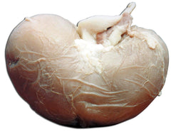 SHEEP KIDNEY PLAIN VAC PK/10