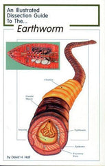 GUIDE EARTHWORM DISSECTION