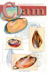 DISC-GUIDE CLAM DISSECTION