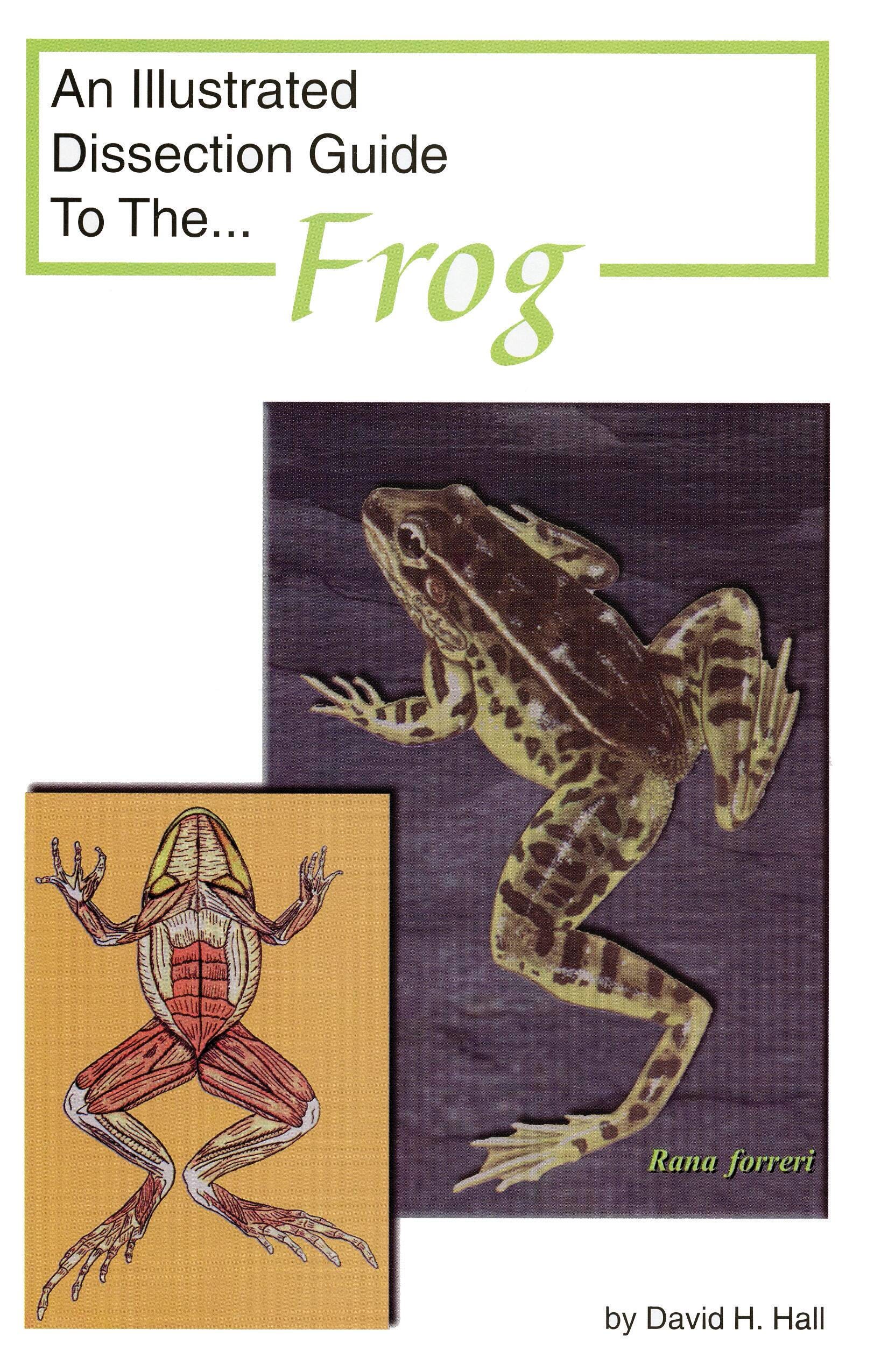 GUIDE FROG DISSECTION