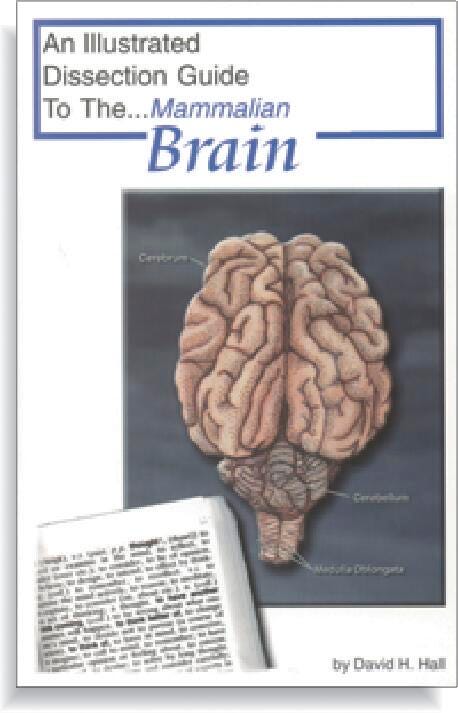 GUIDE MAMMAL BRAIN DISSECTION