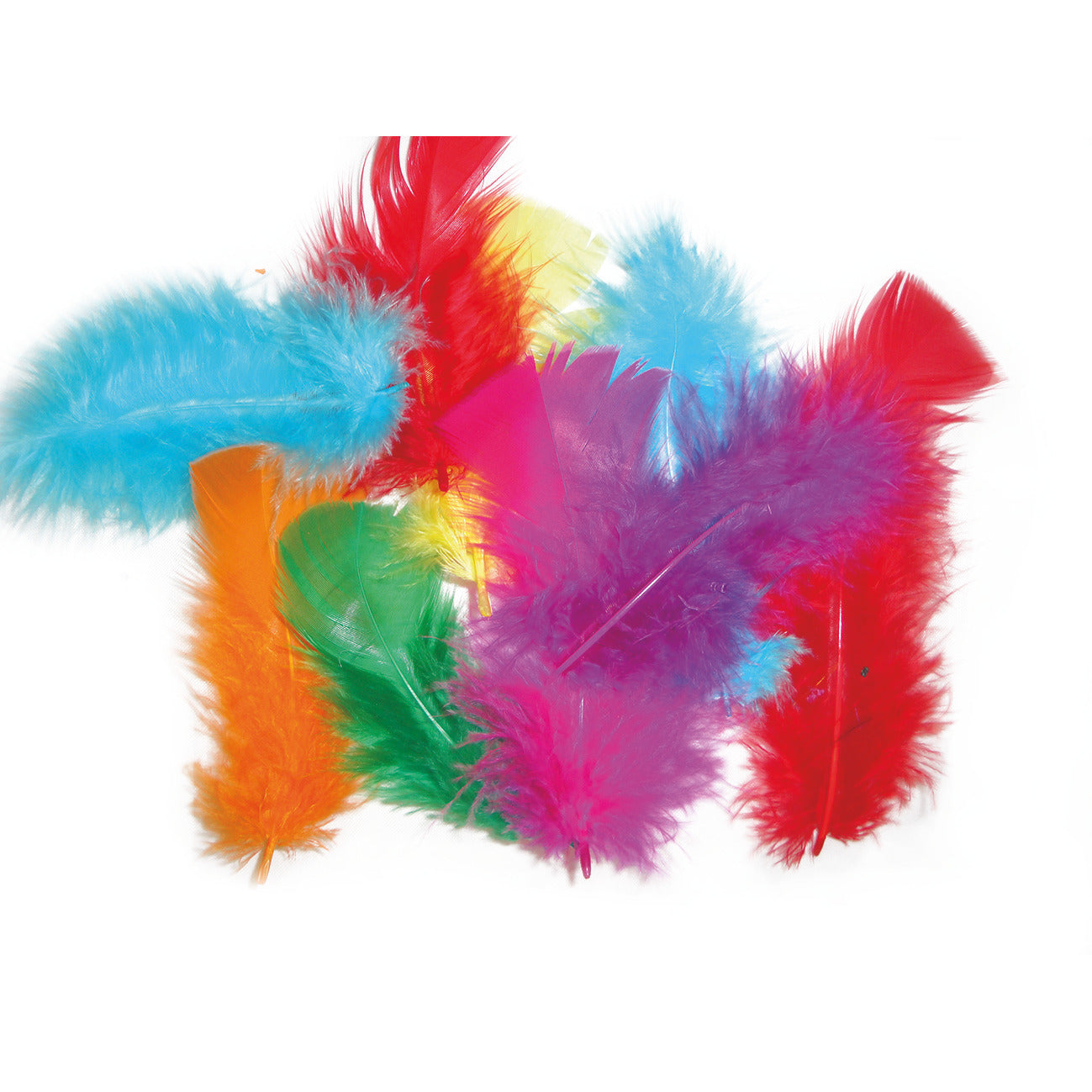Feather Mixed Dyed Assorted Pack