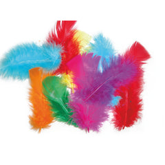 Feather Mixed Dyed Assorted Pack