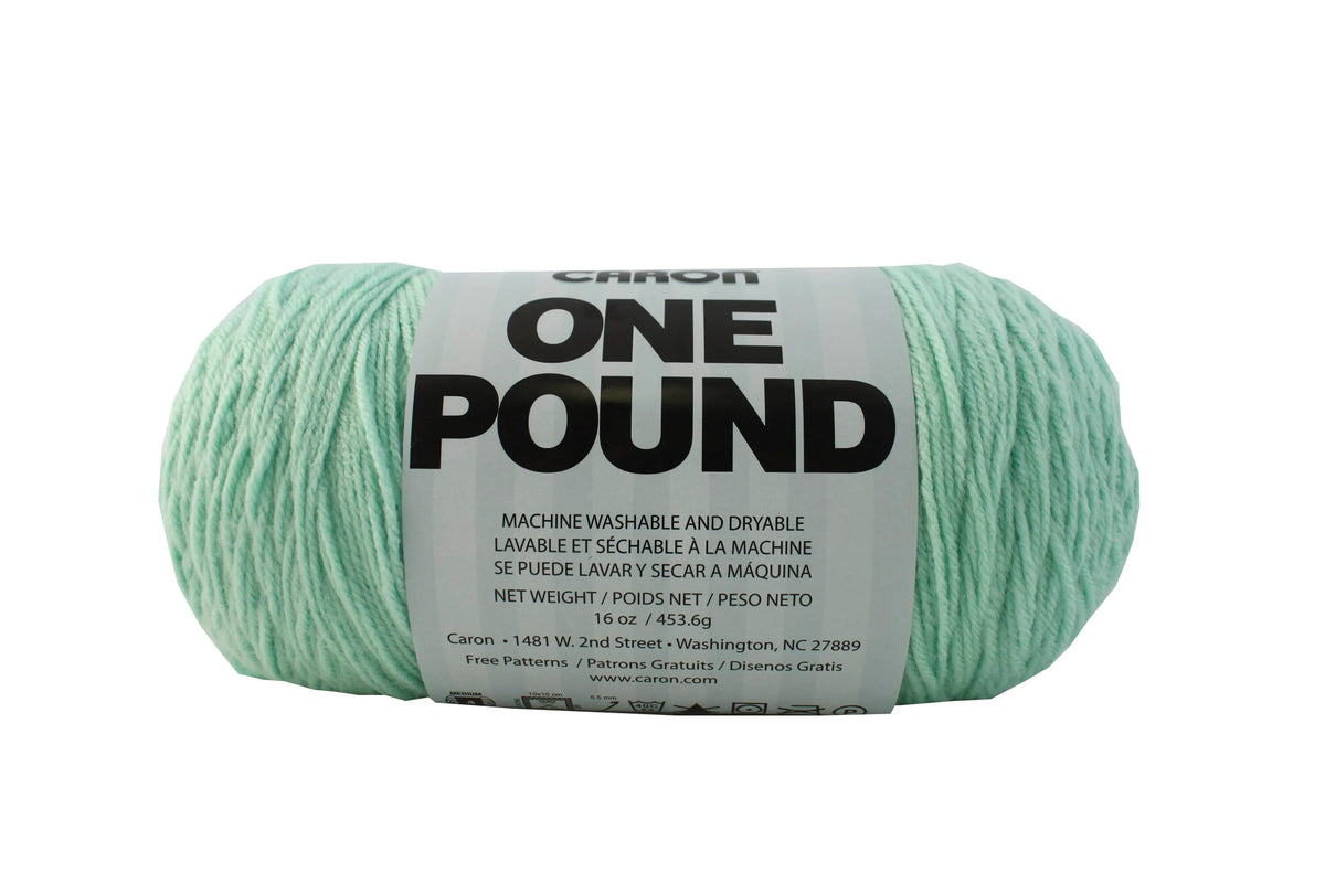 YARN CARON 1 LB PALE GREEN
