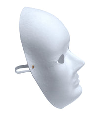 Rigid Paper Fibre Face Mask Pack 10