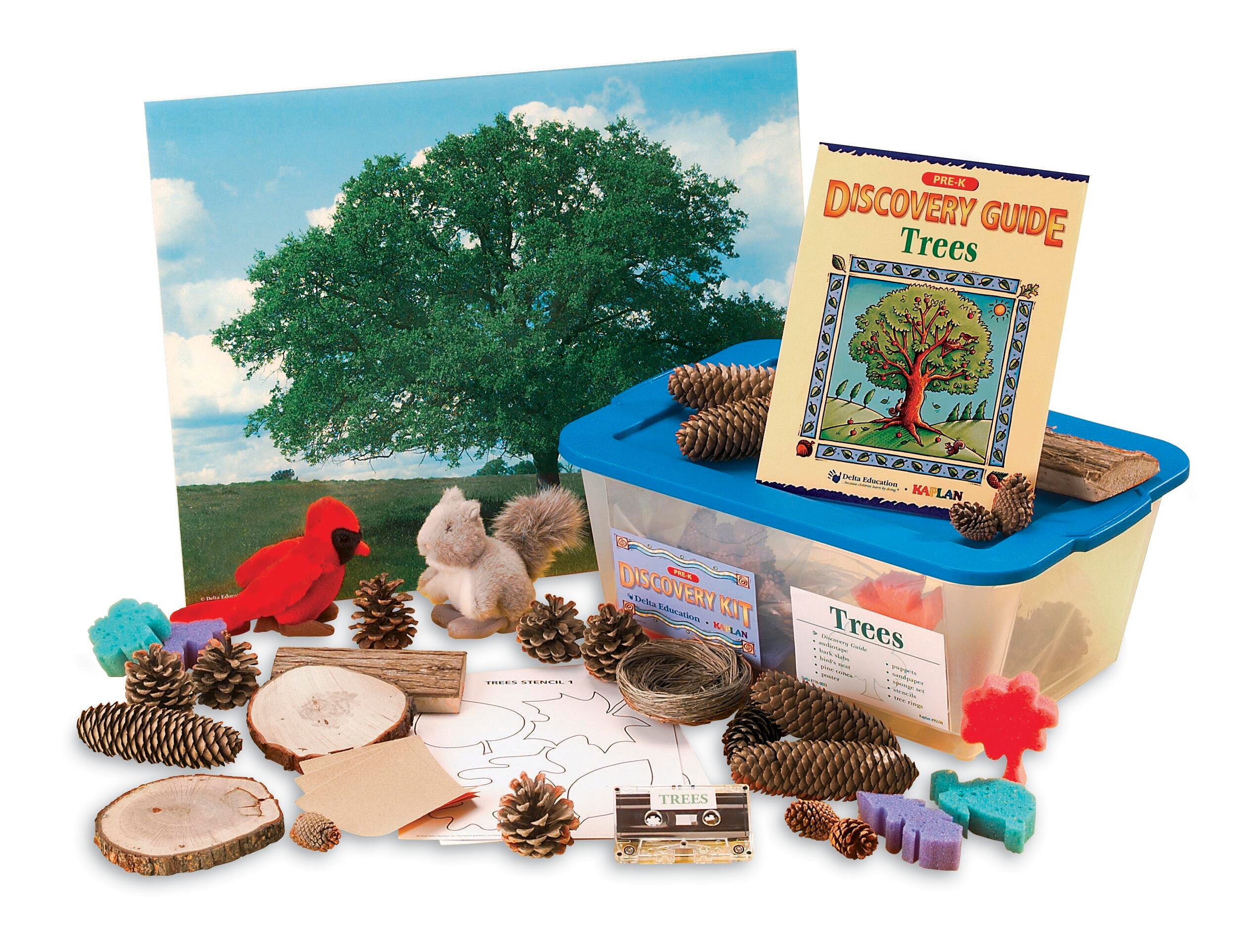KIT PRE-K DISCOVERY TREES