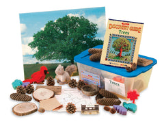 KIT PRE-K DISCOVERY TREES