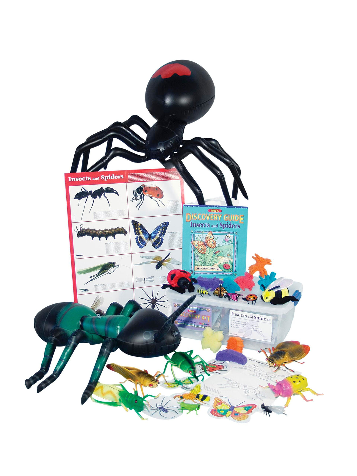 KIT PRE-K DISCOVERY INSECTS AND SPIDERS