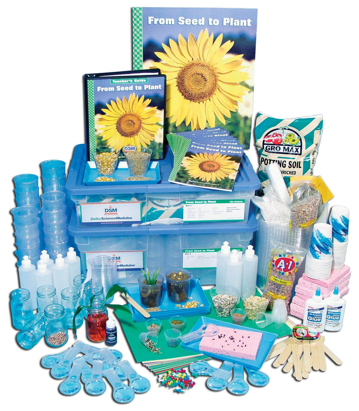 KIT DSM-3 FROM SEED TO PLANT