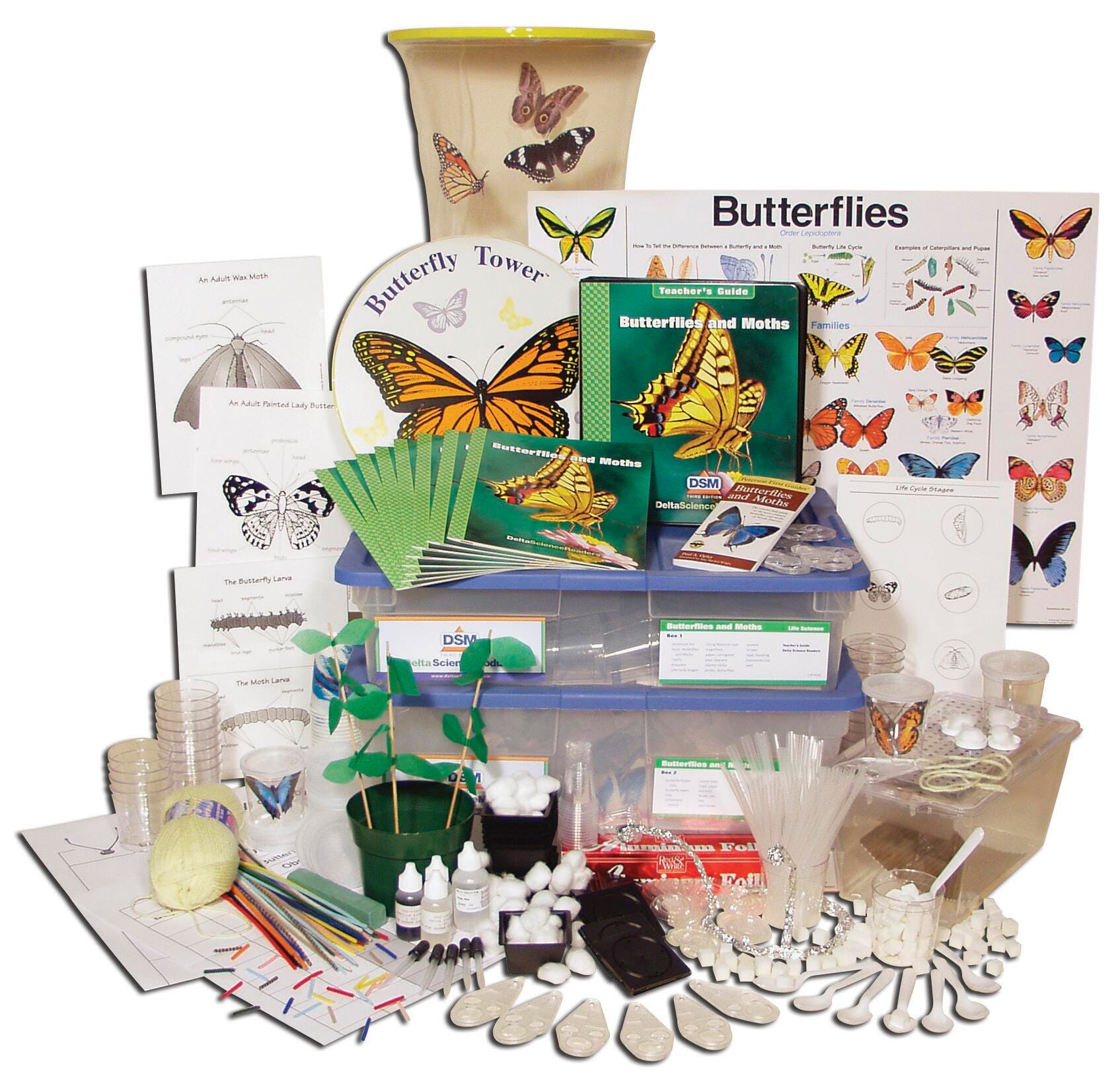 KIT DSM-3 BUTTERFLIES AND MOTHS