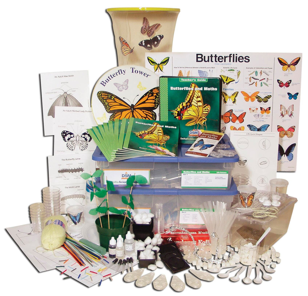 KIT DSM-3 BUTTERFLIES AND MOTHS