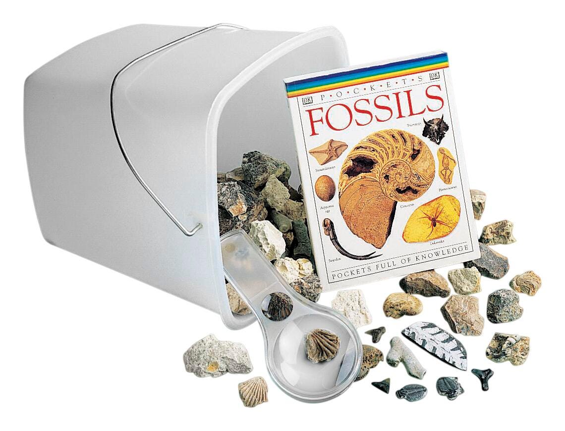 HANDS-ON EXPLORATION FOSSILS