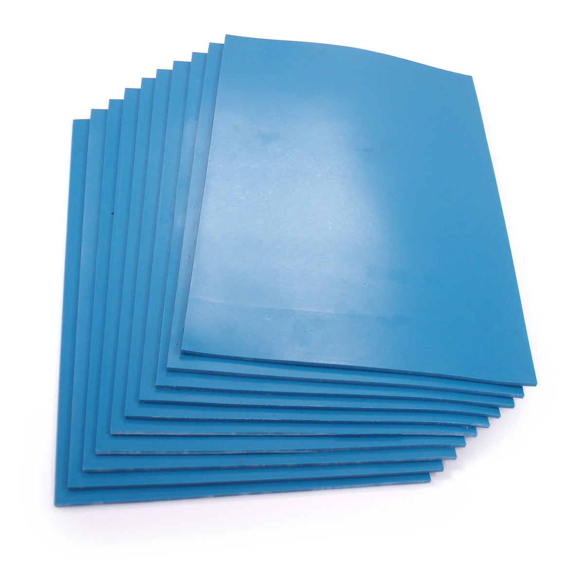 Blue Polymer 30x20 Pk 10