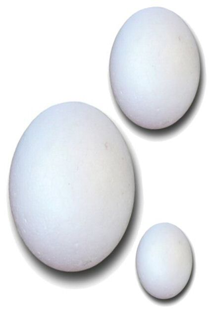 Assorted Polystyrene Eggs Pk 30
