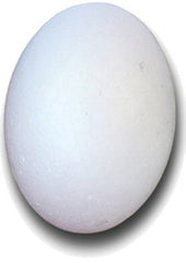 Polystyrene Eggs 56mm Pack 25