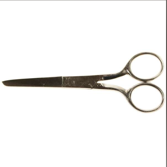 SCISSORS SS BLUNT/SHARP 12CM