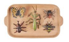 IC Language - Insect objects