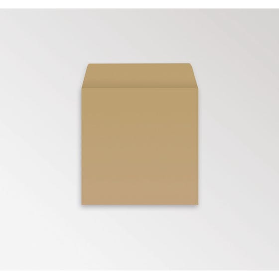 Envelope Dinner Money 108X92Mm Bx1K