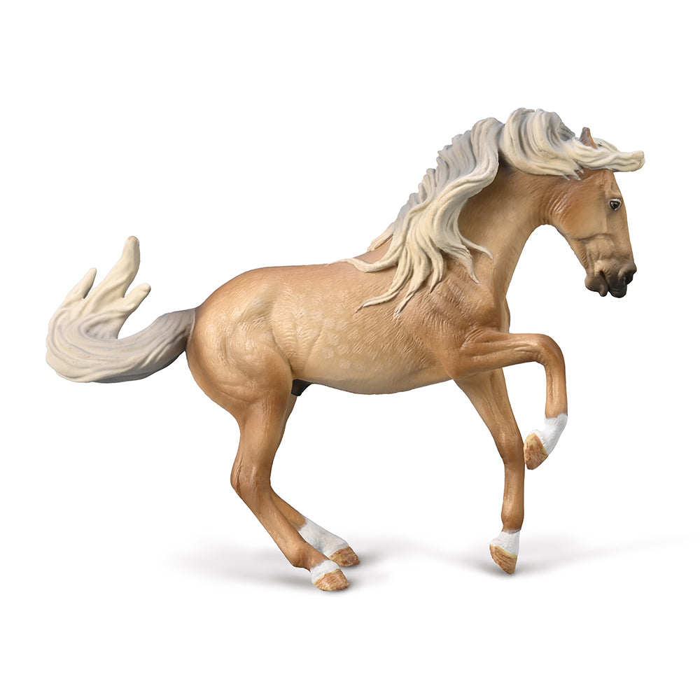 Lusitano Stallion - Sooty Palomino (3 Years +)