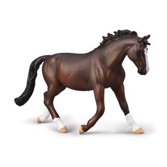 Oldenburg Mare Bay (3 Years +)